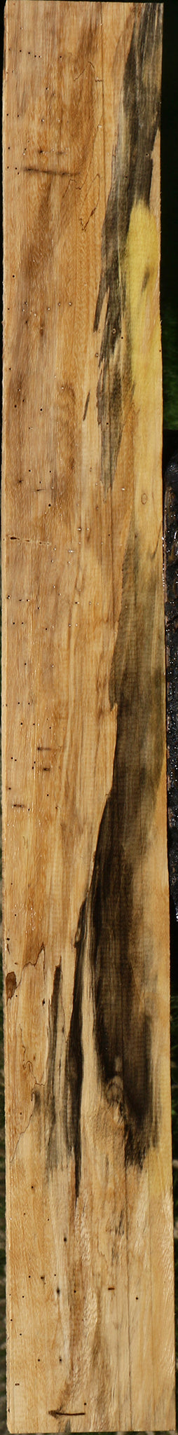 Figured Spalted Tamarind Lumber