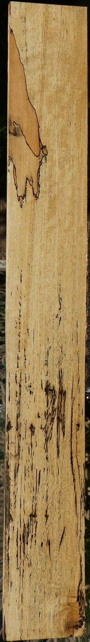 Figured Spalted Tamarind Lumber