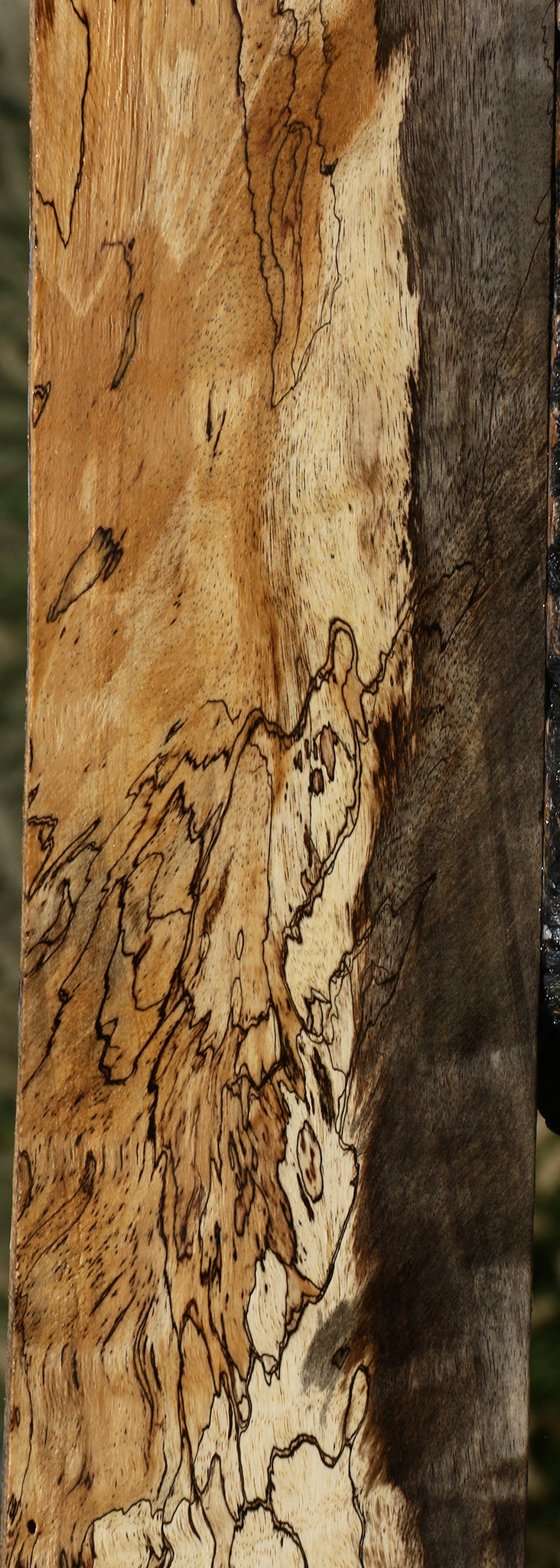 Extra Fancy Spalted Tamarind Lumber