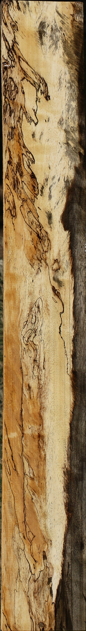 Extra Fancy Spalted Tamarind Lumber