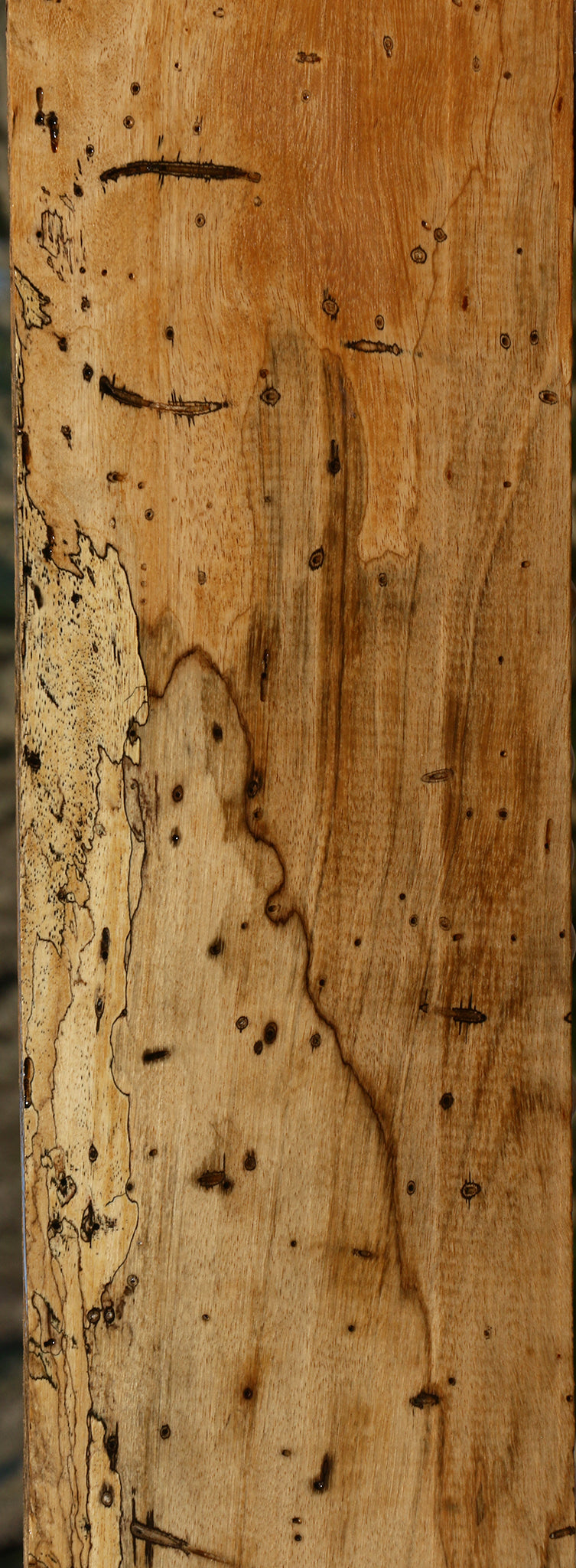 Figured Spalted Tamarind Lumber