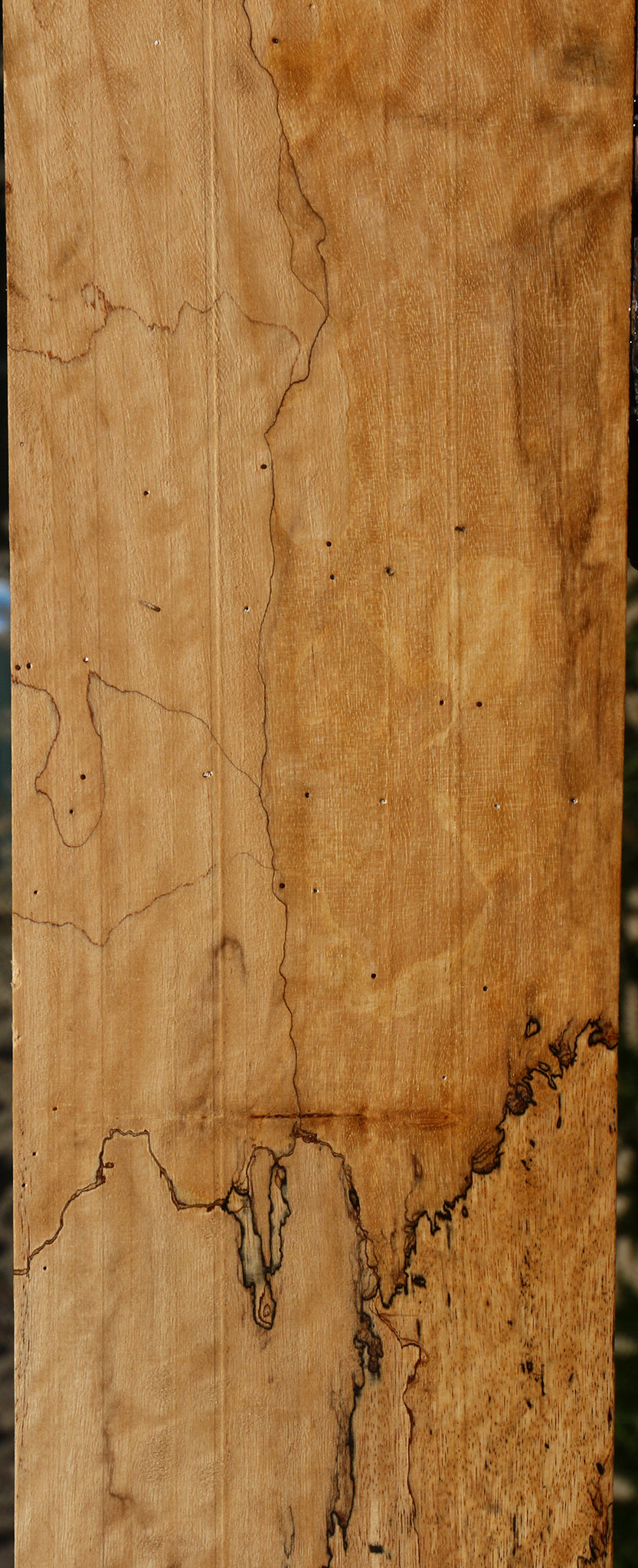 Figured Spalted Tamarind Lumber