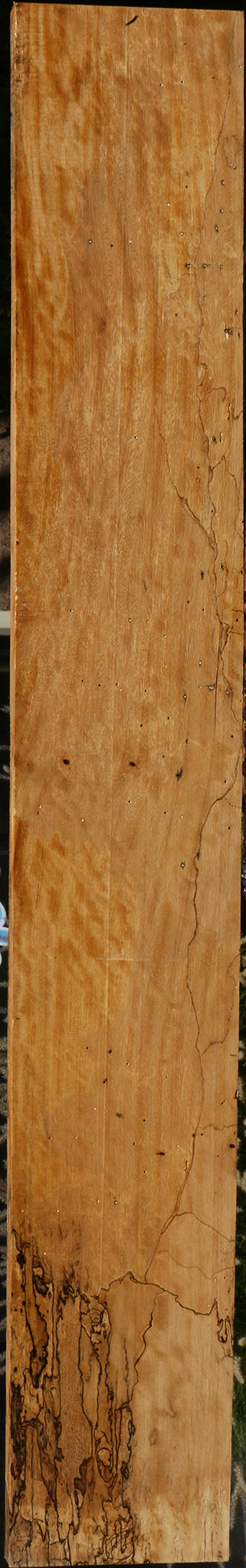 Figured Spalted Tamarind Lumber