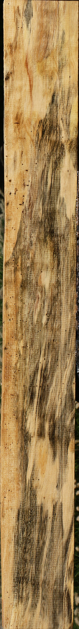 Figured Spalted Tamarind Lumber