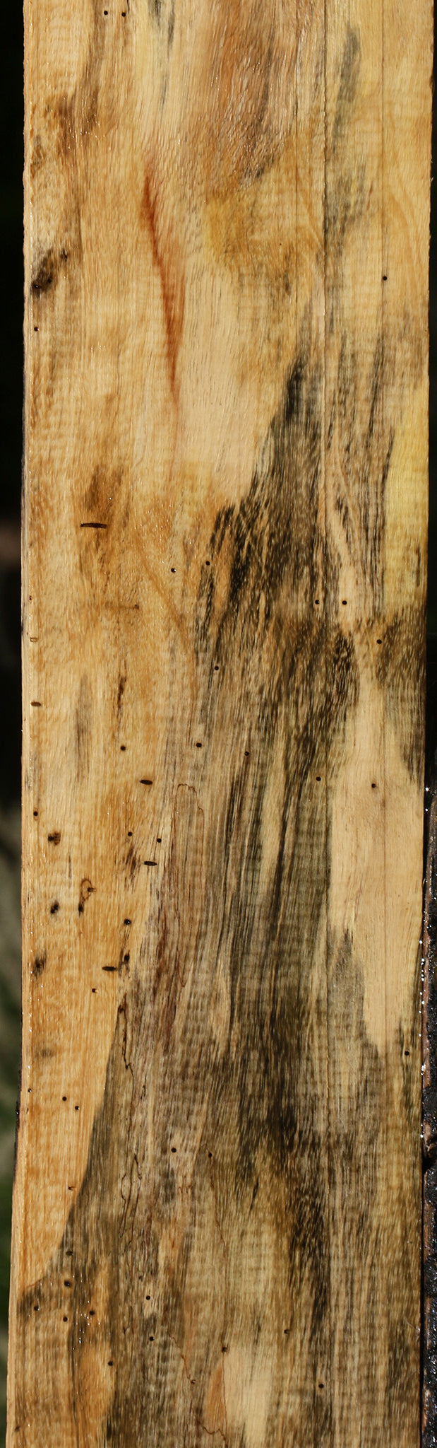 Figured Spalted Tamarind Lumber