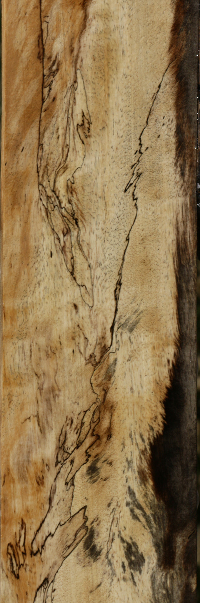 Figured Spalted Tamarind Lumber