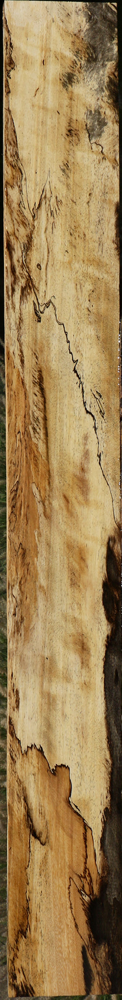 Figured Spalted Tamarind Lumber