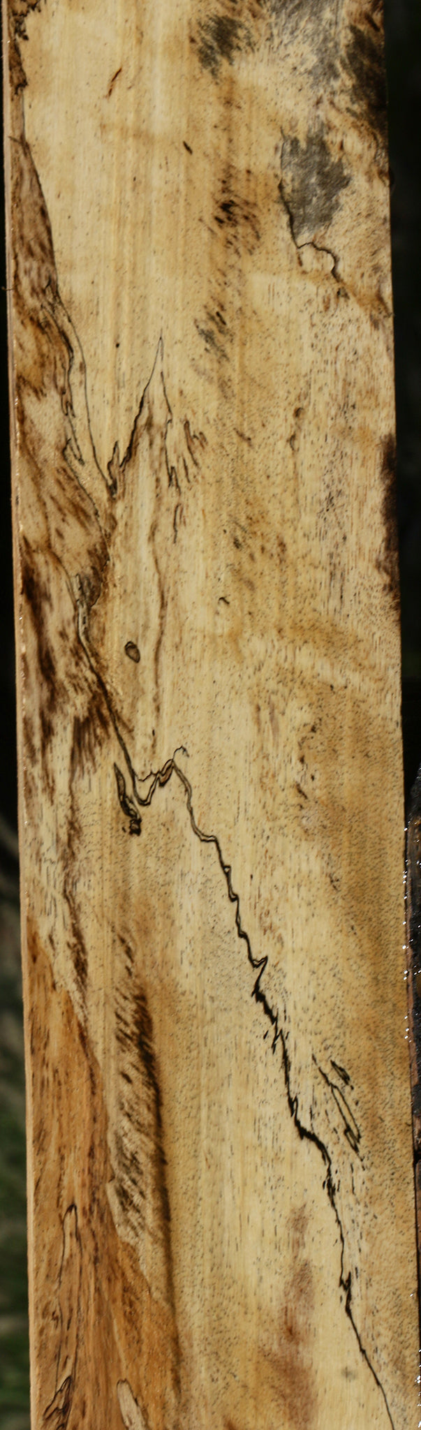 Figured Spalted Tamarind Lumber