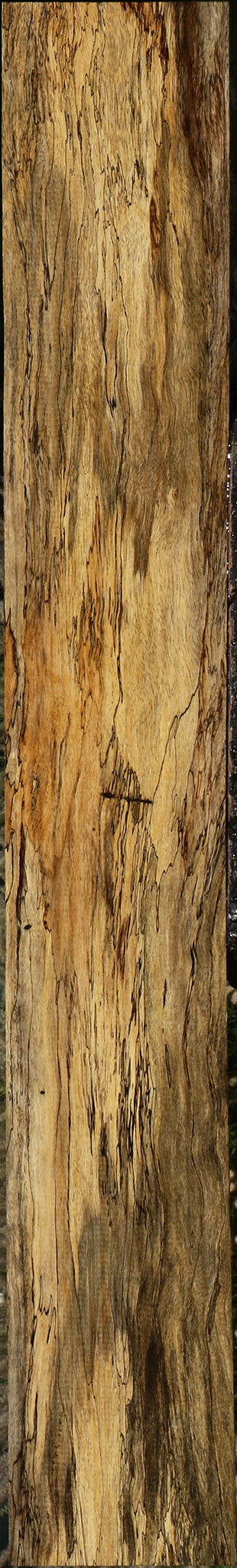 Figured Spalted Tamarind Lumber