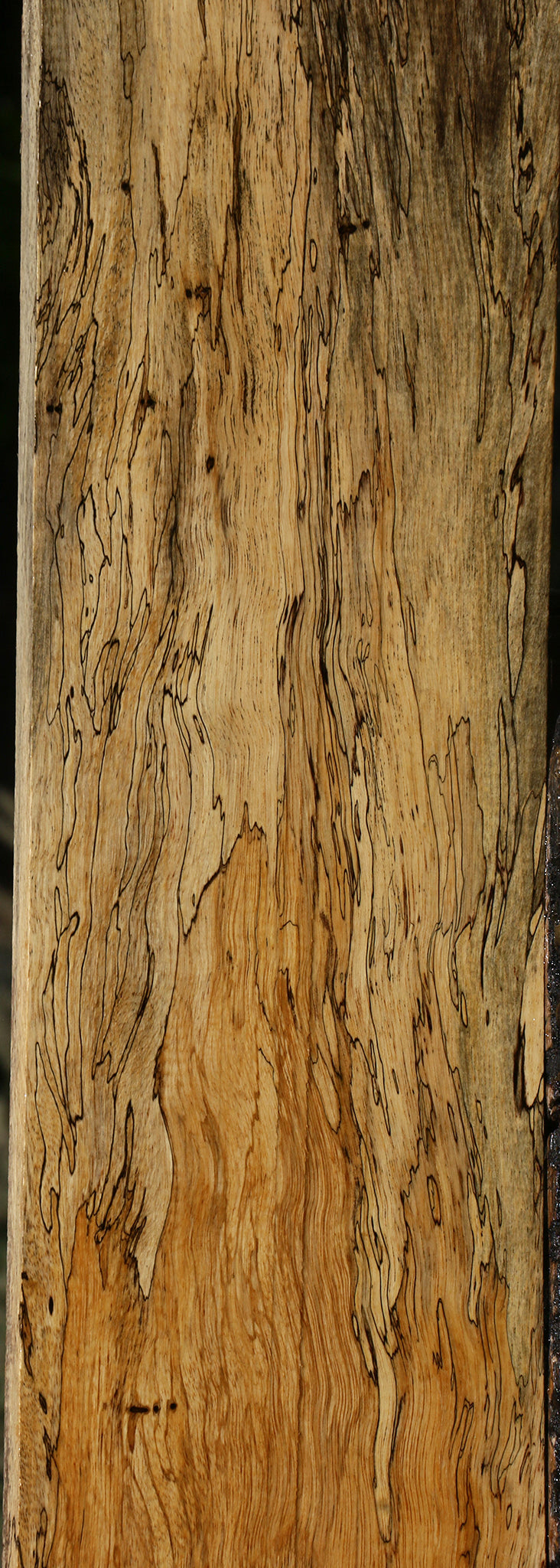 Figured Spalted Tamarind Lumber
