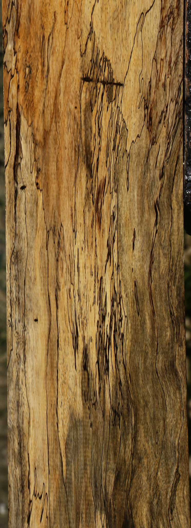 Figured Spalted Tamarind Lumber