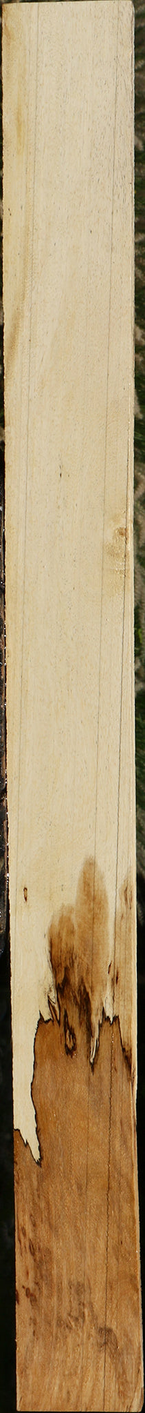 Spalted Tamarind Lumber