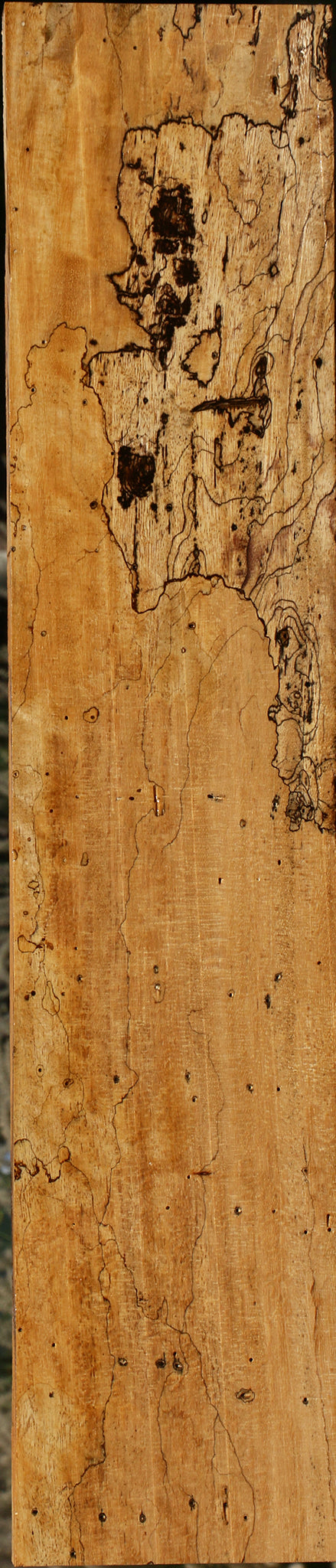 Figured Spalted Tamarind Lumber