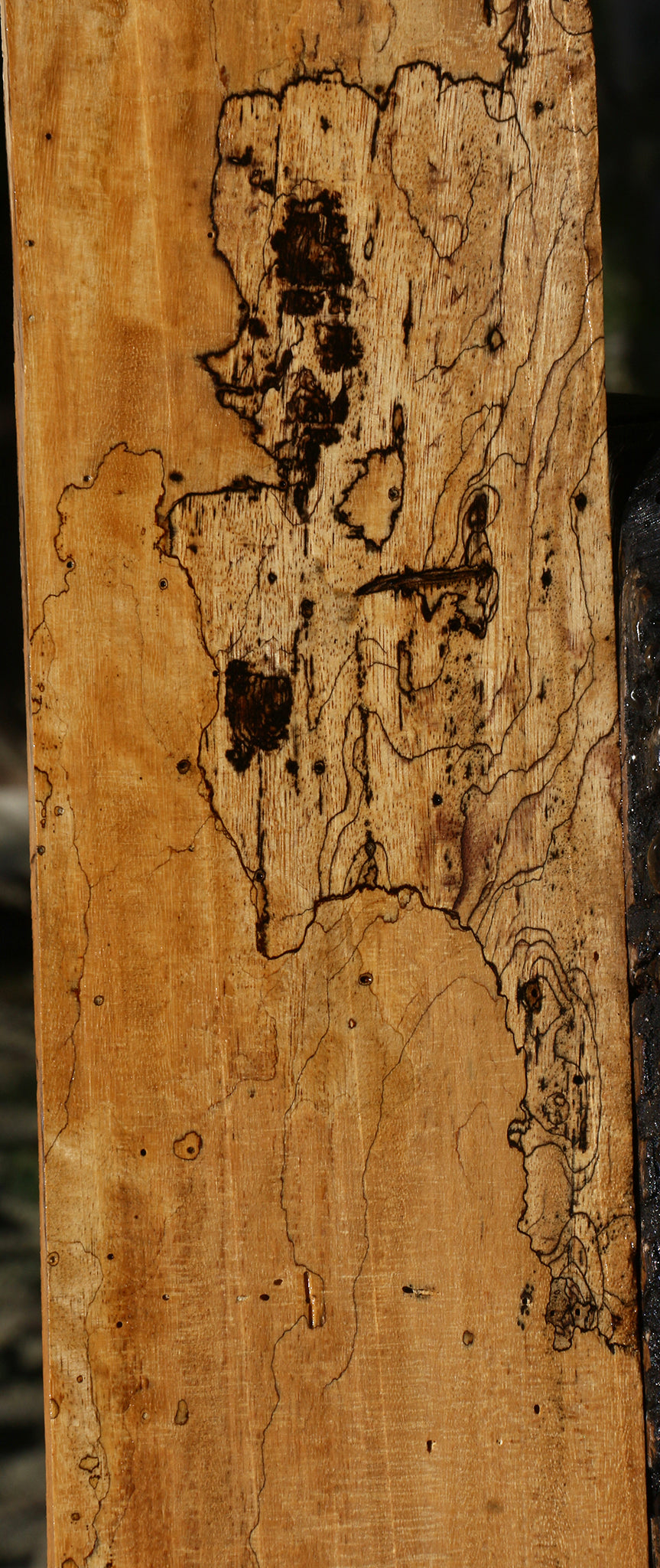 Figured Spalted Tamarind Lumber