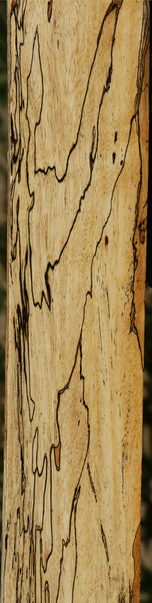 Figured Spalted Tamarind Lumber