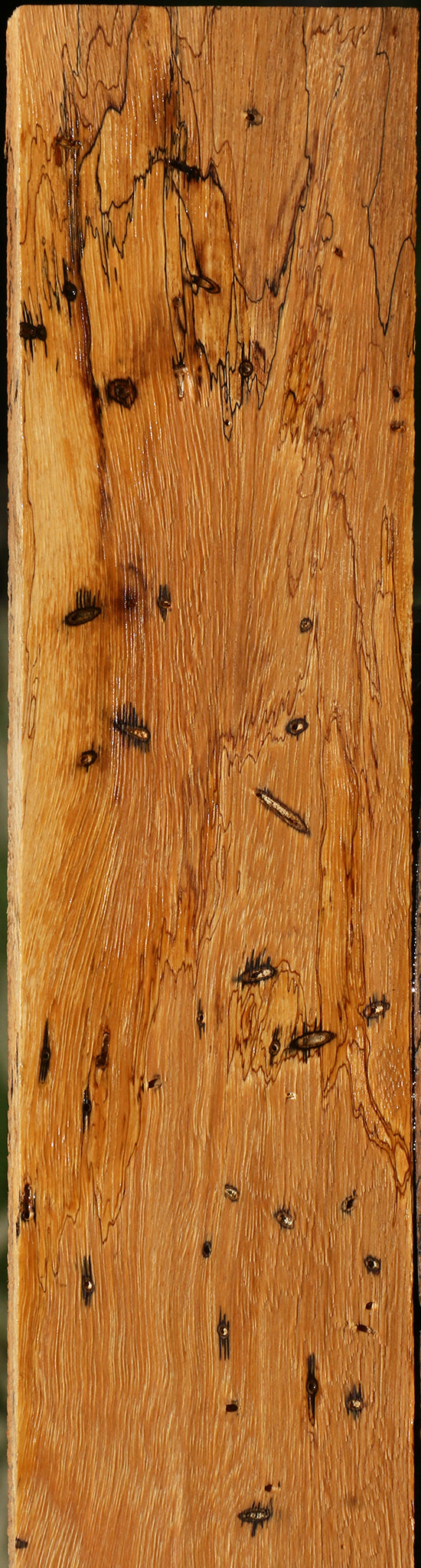 Spalted Tamarind Lumber