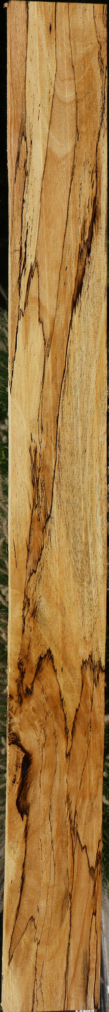 Extra Fancy Spalted Tamarind Lumber