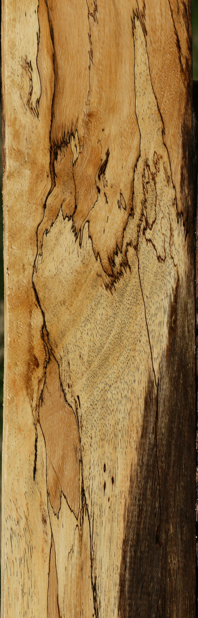 Extra Fancy Spalted Tamarind Lumber