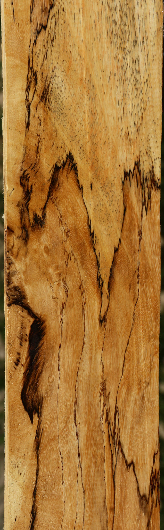 Extra Fancy Spalted Tamarind Lumber