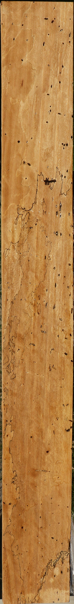 Spalted Tamarind Lumber
