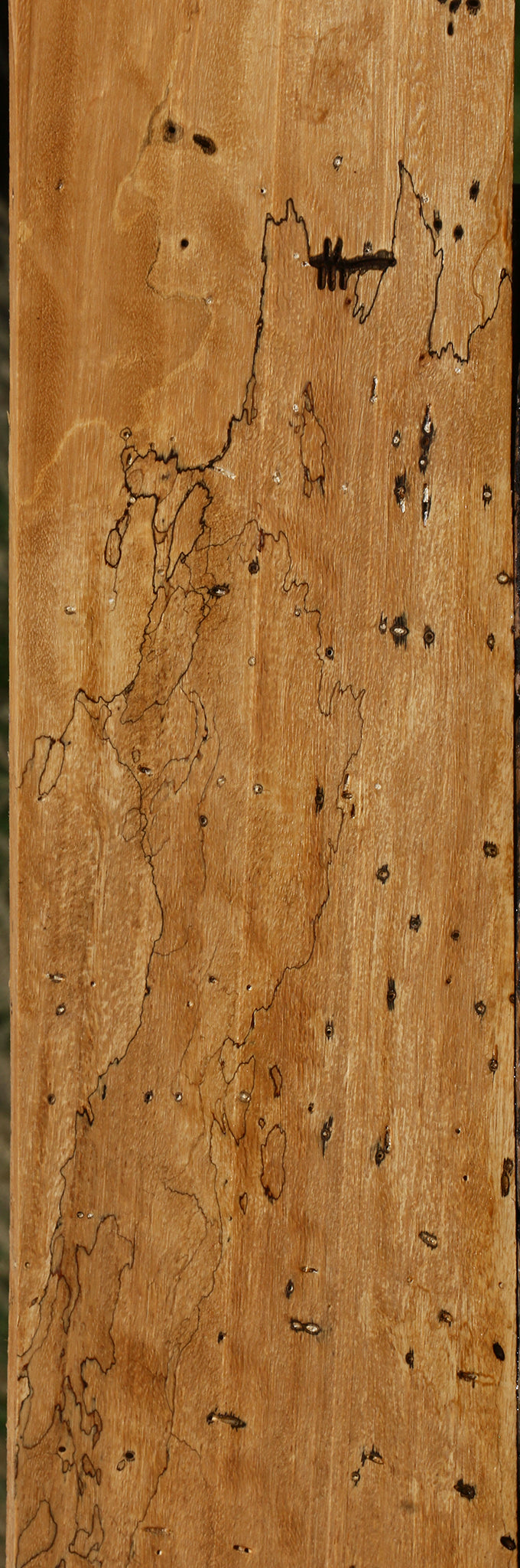 Spalted Tamarind Lumber