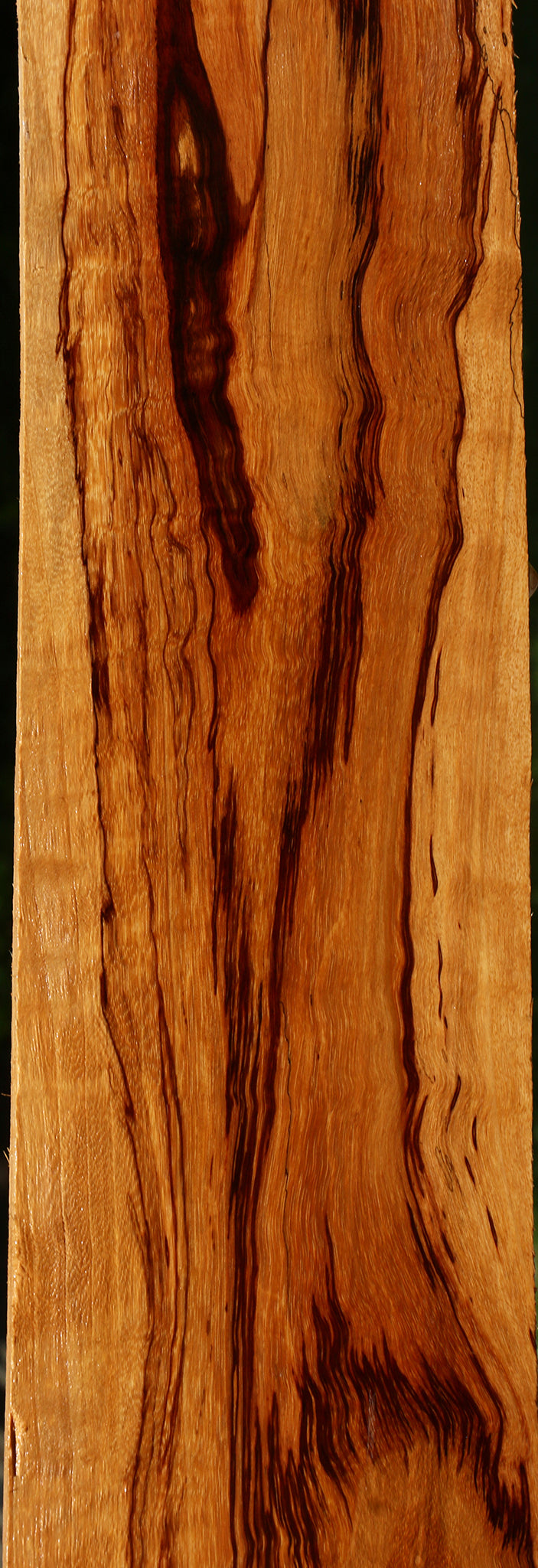 Extra Fancy Spalted Tamarind Lumber