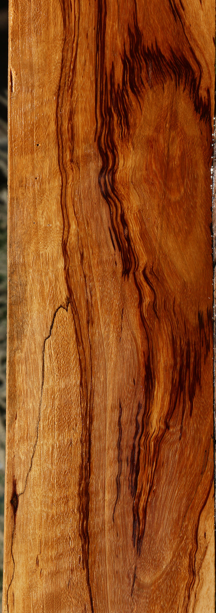 Extra Fancy Spalted Tamarind Lumber