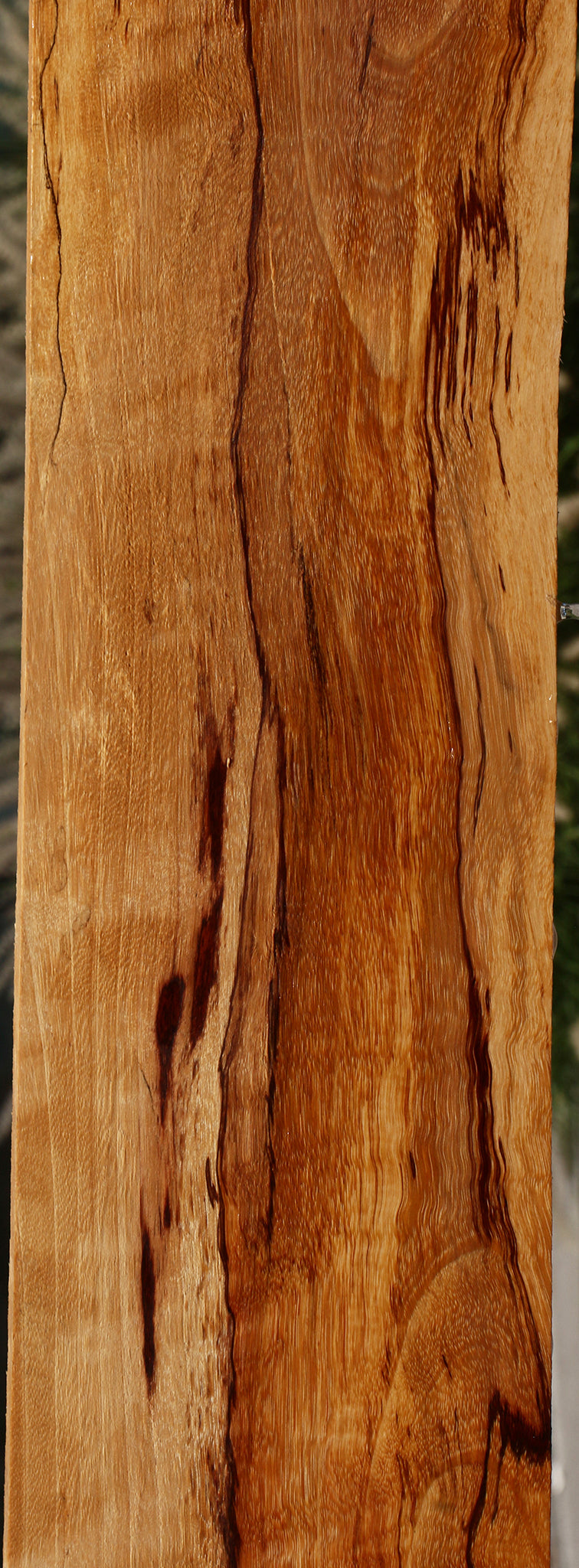 Extra Fancy Spalted Tamarind Lumber