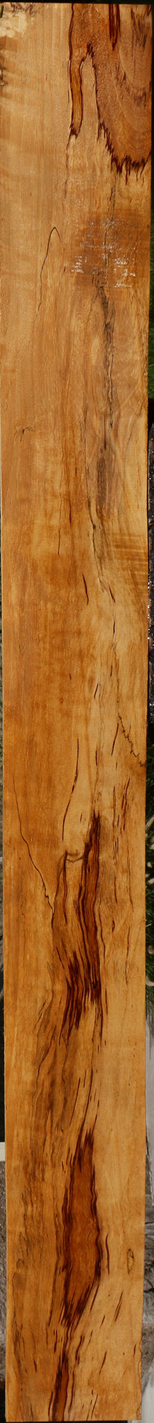 Extra Fancy Spalted Tamarind Lumber