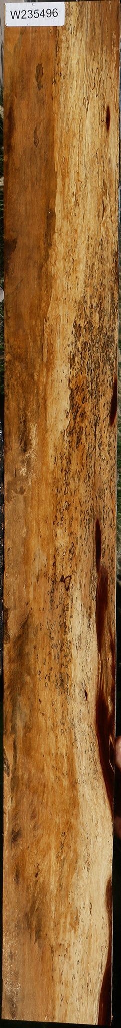 Spalted Tamarind Lumber