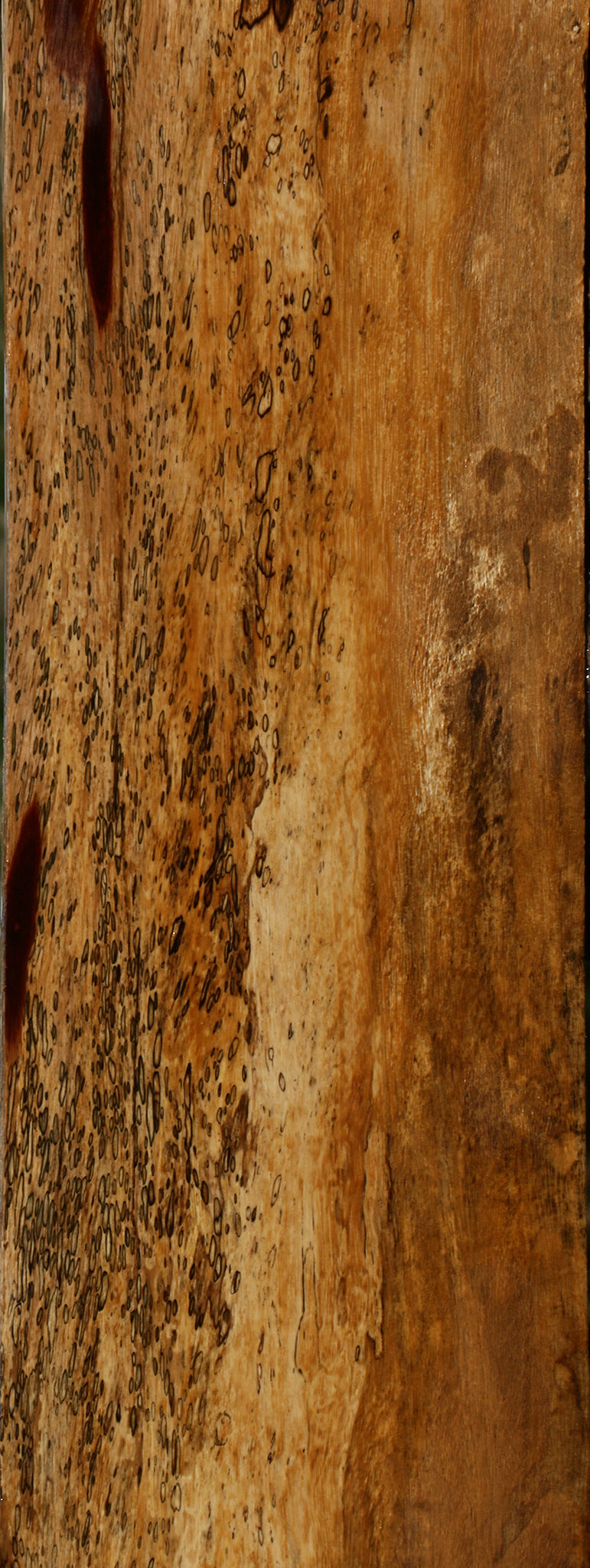 Spalted Tamarind Lumber