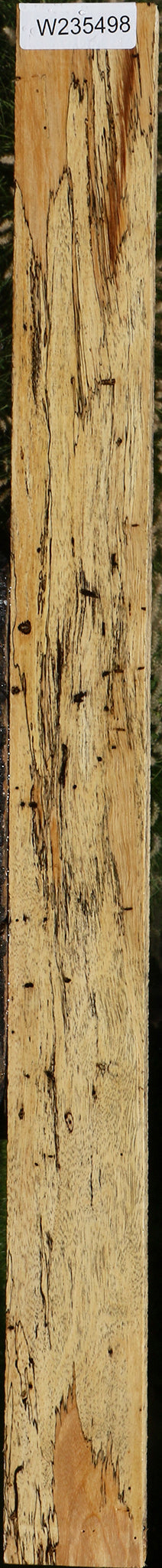 Spalted Tamarind Lumber