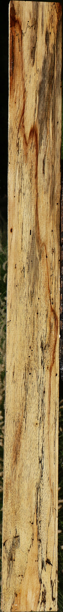 Spalted Tamarind Lumber