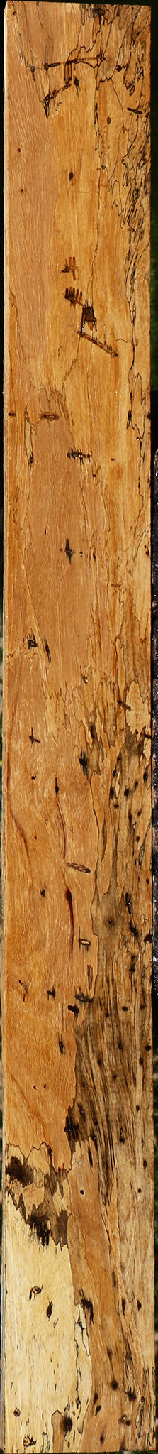 Spalted Tamarind Lumber