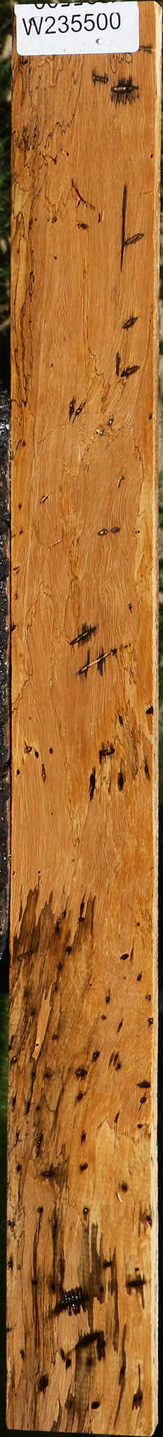 Spalted Tamarind Lumber