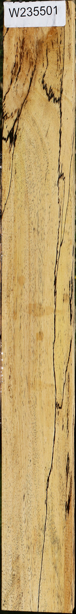 Spalted Tamarind Lumber