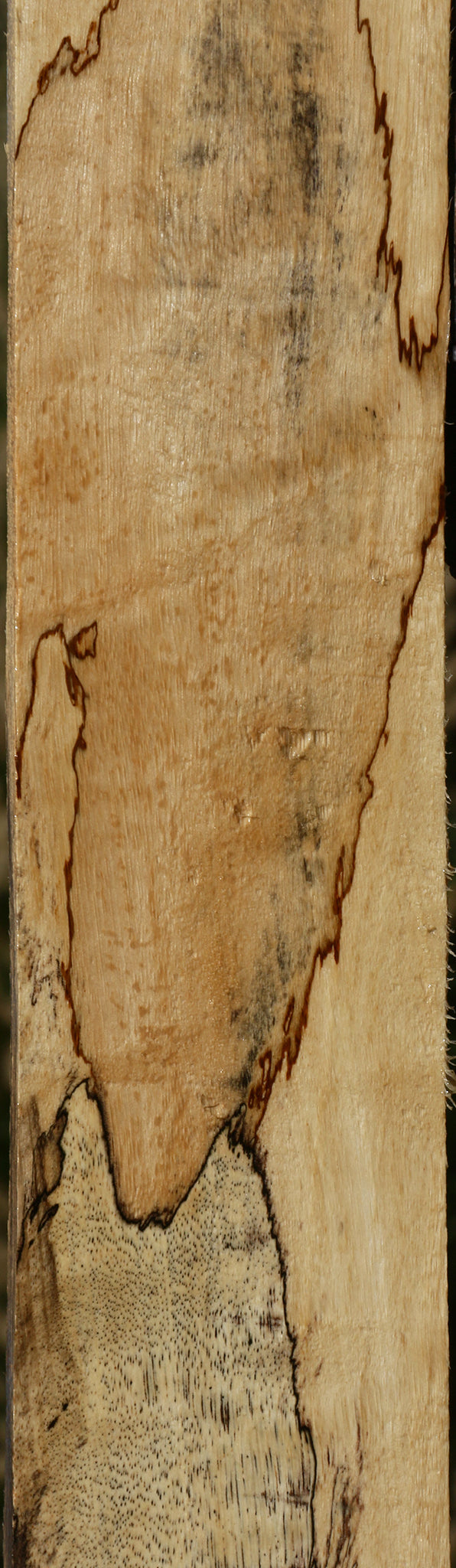 Figured Spalted Tamarind Lumber