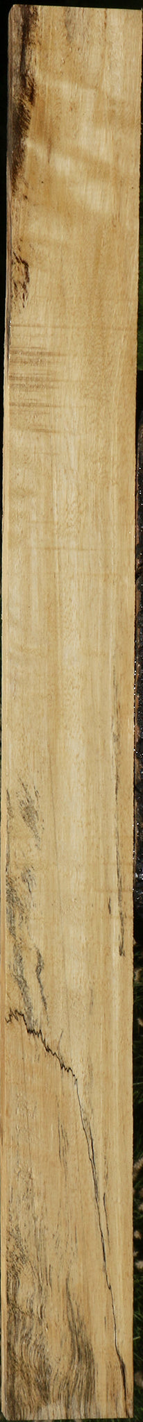 Figured Spalted Tamarind Lumber