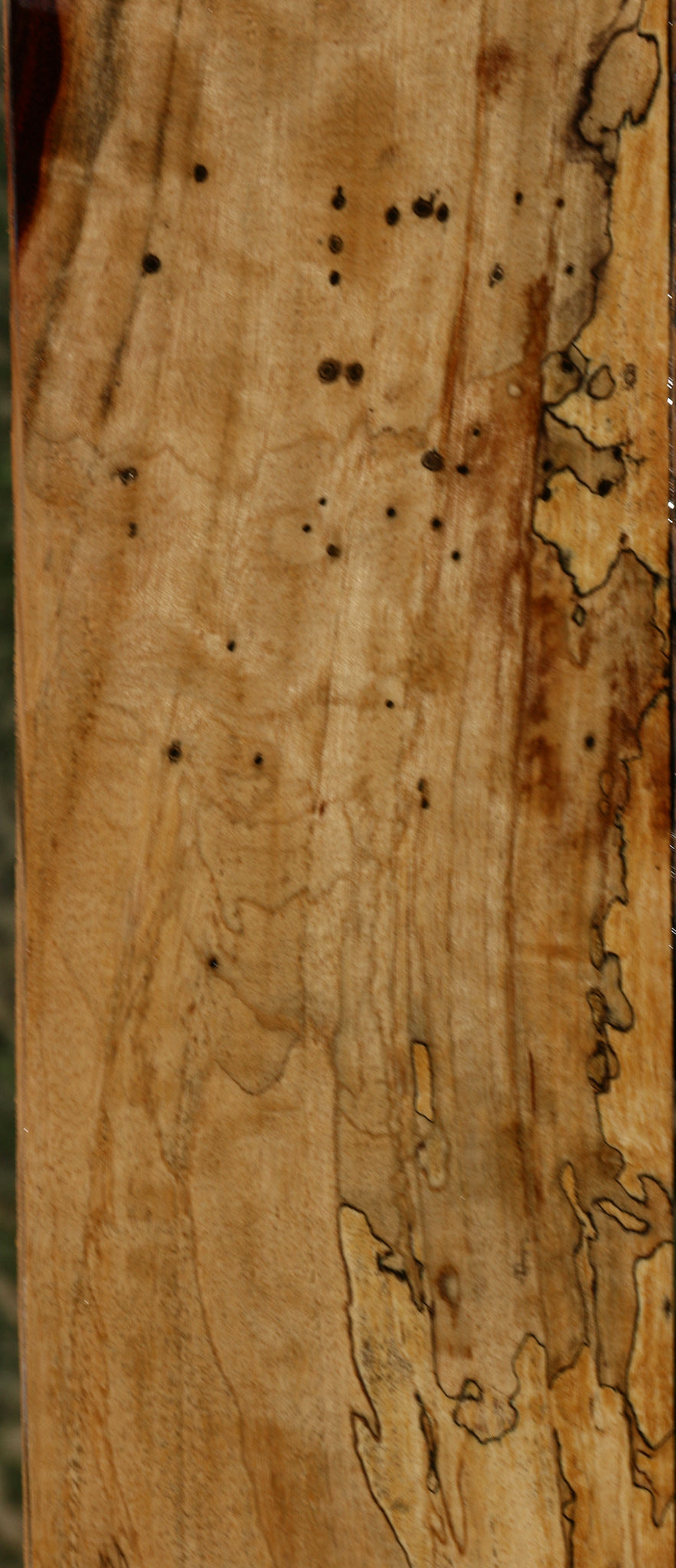Figured Spalted Tamarind Lumber