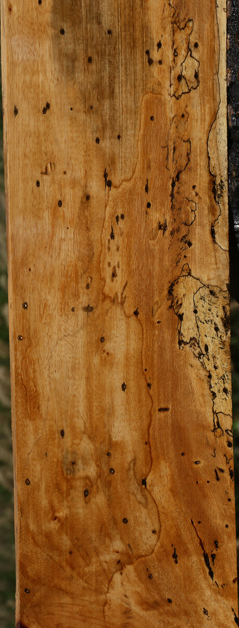 Spalted Tamarind Lumber