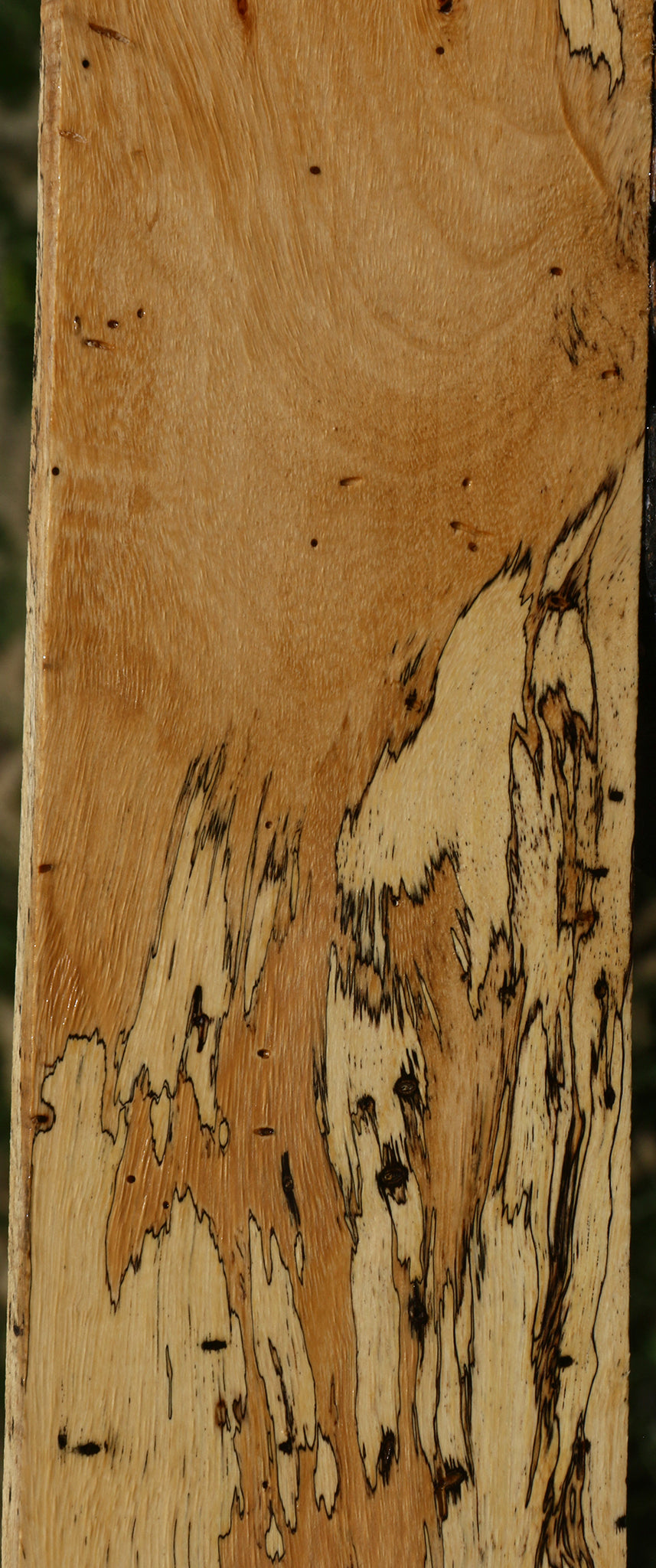 Figured Spalted Tamarind Lumber