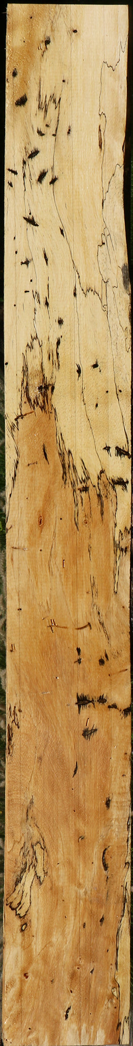 Figured Spalted Tamarind Lumber