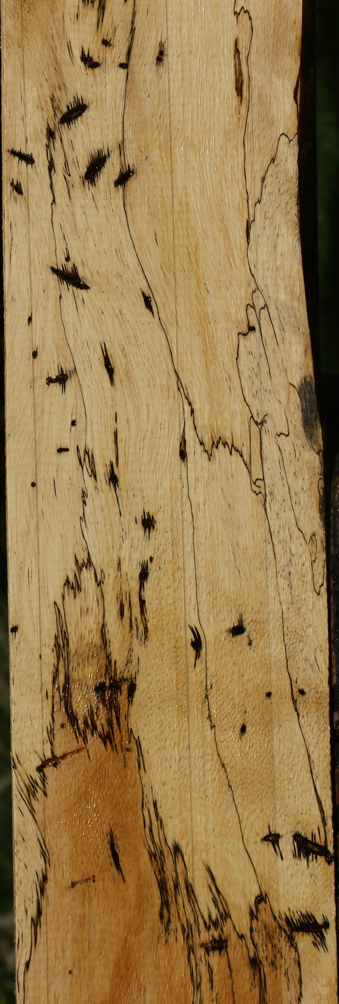 Figured Spalted Tamarind Lumber