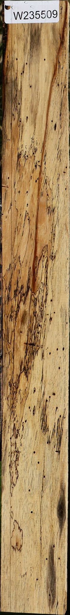 Figured Spalted Tamarind Lumber