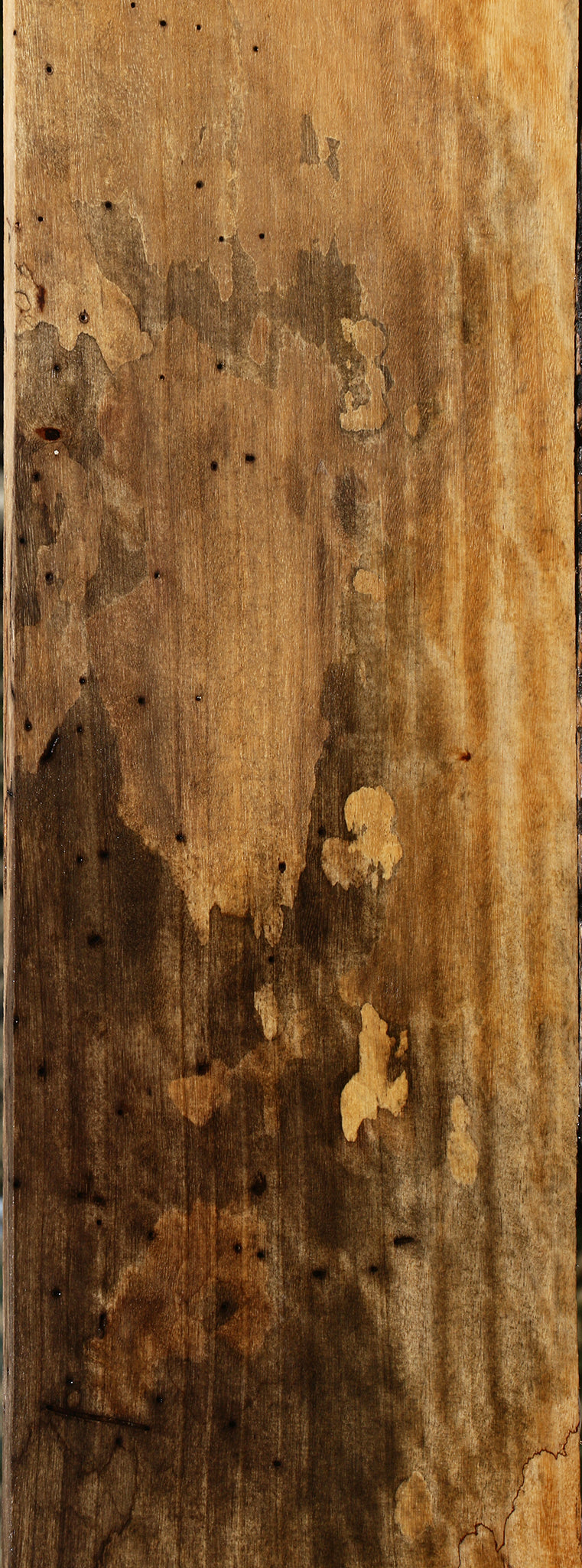 Figured Spalted Tamarind Lumber