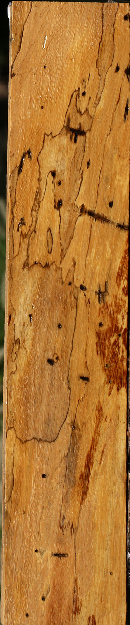 Figured Spalted Tamarind Lumber