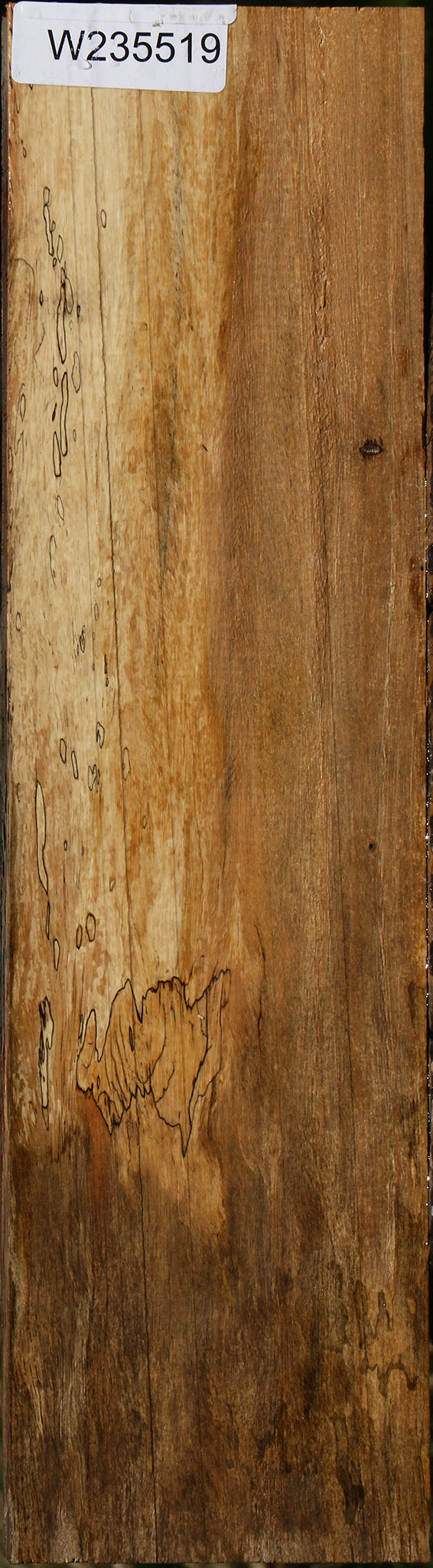 Spalted Tamarind Lumber