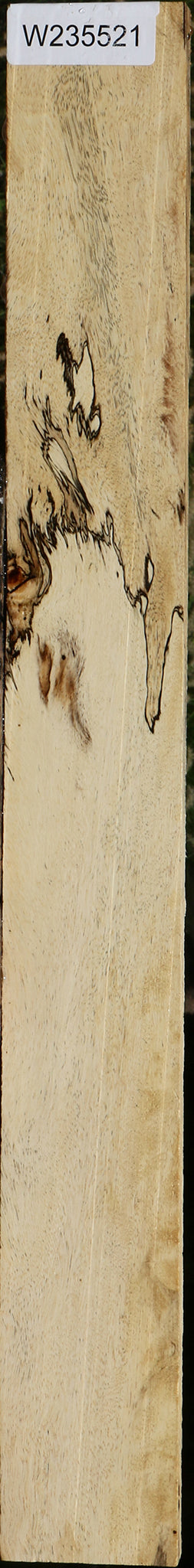 Spalted Tamarind Lumber
