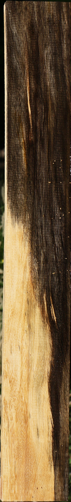 Spalted Tamarind Lumber