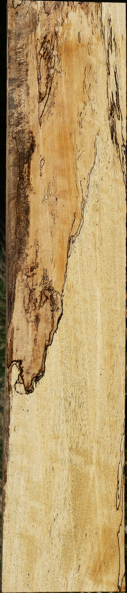 Spalted Tamarind Lumber